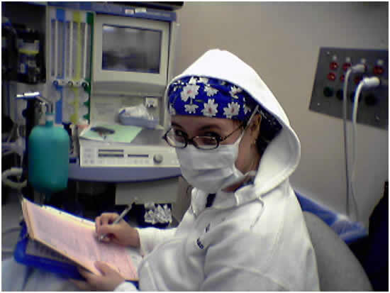 Nurse Anesthetist Talitha